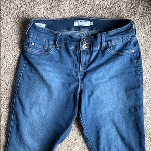 Torrid Denim Jeggings